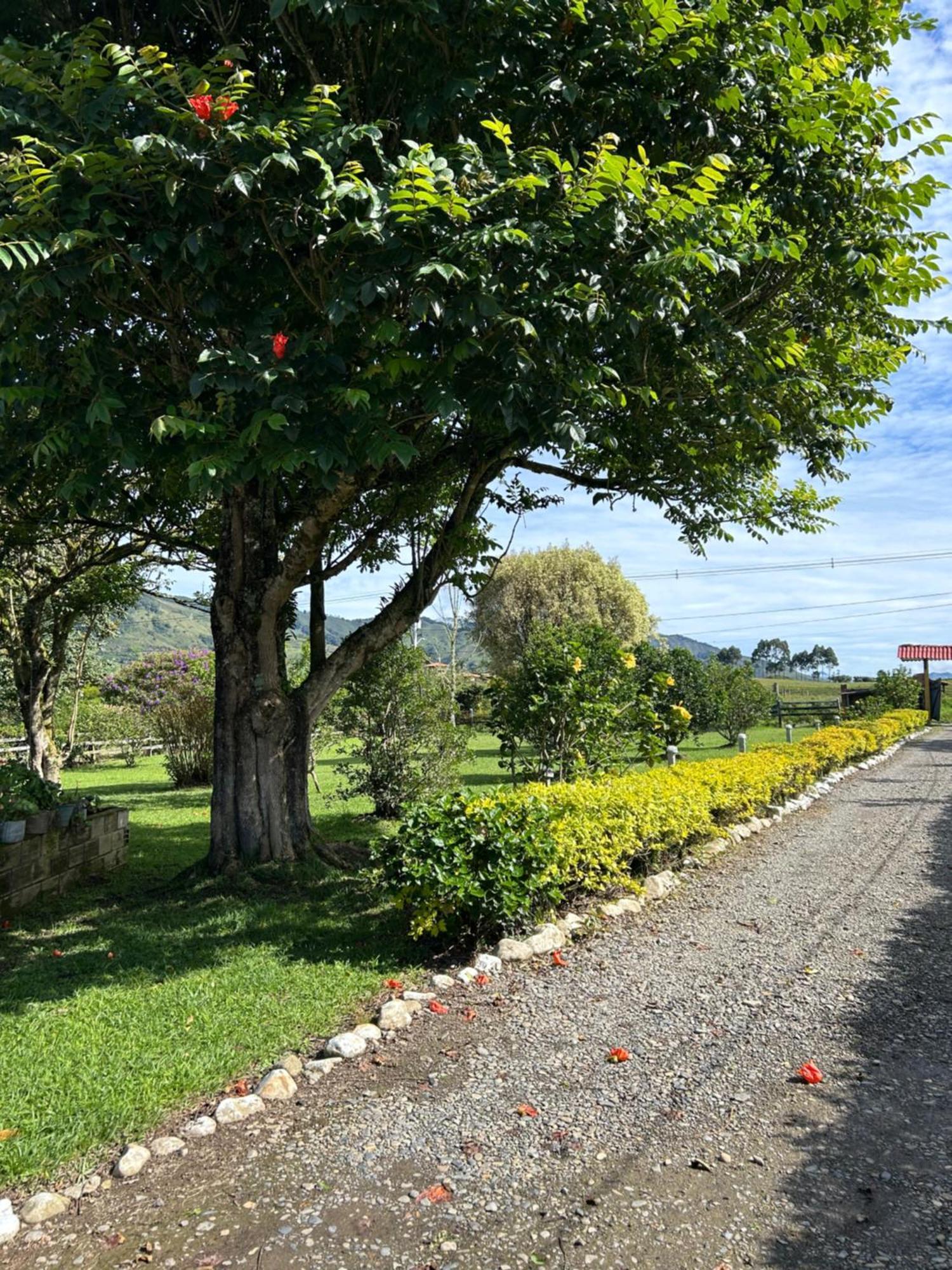Finca Hotel Paraiso Уррао Экстерьер фото
